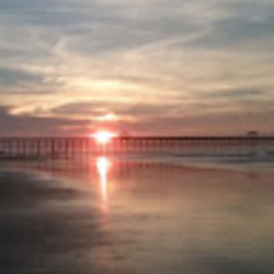 Meet your Posher, Kira